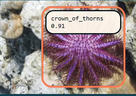 Crown of Thorns Starfish detection reference