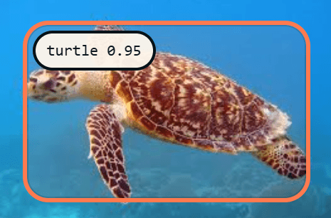 Sea Turtle detection reference