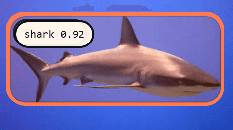 Shark detection reference
